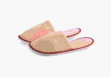 Soft Slipper